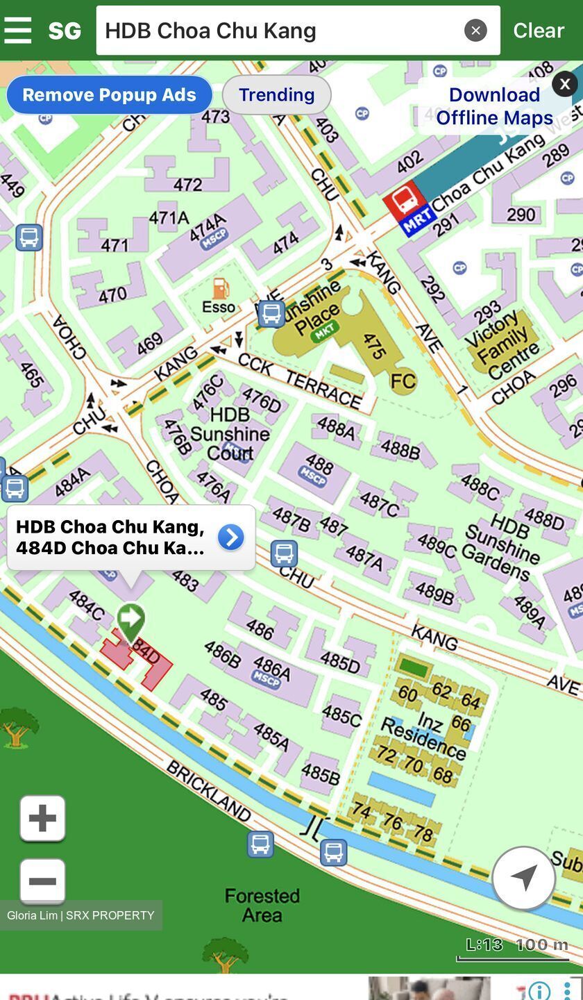 Blk 484D Choa Chu Kang Avenue 5 (Choa Chu Kang), HDB 4 Rooms #597904261